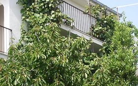 Apartments Prizmic