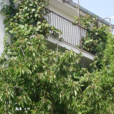 Apartments Prizmic Podstrana Zewnętrze zdjęcie