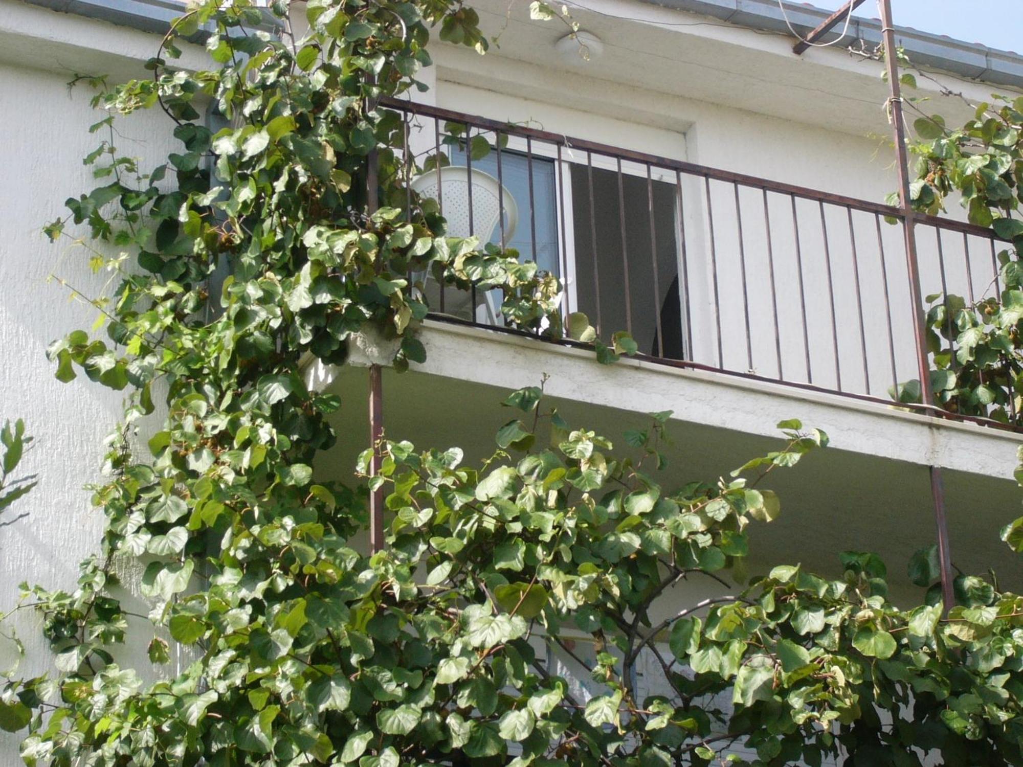 Apartments Prizmic Podstrana Zewnętrze zdjęcie