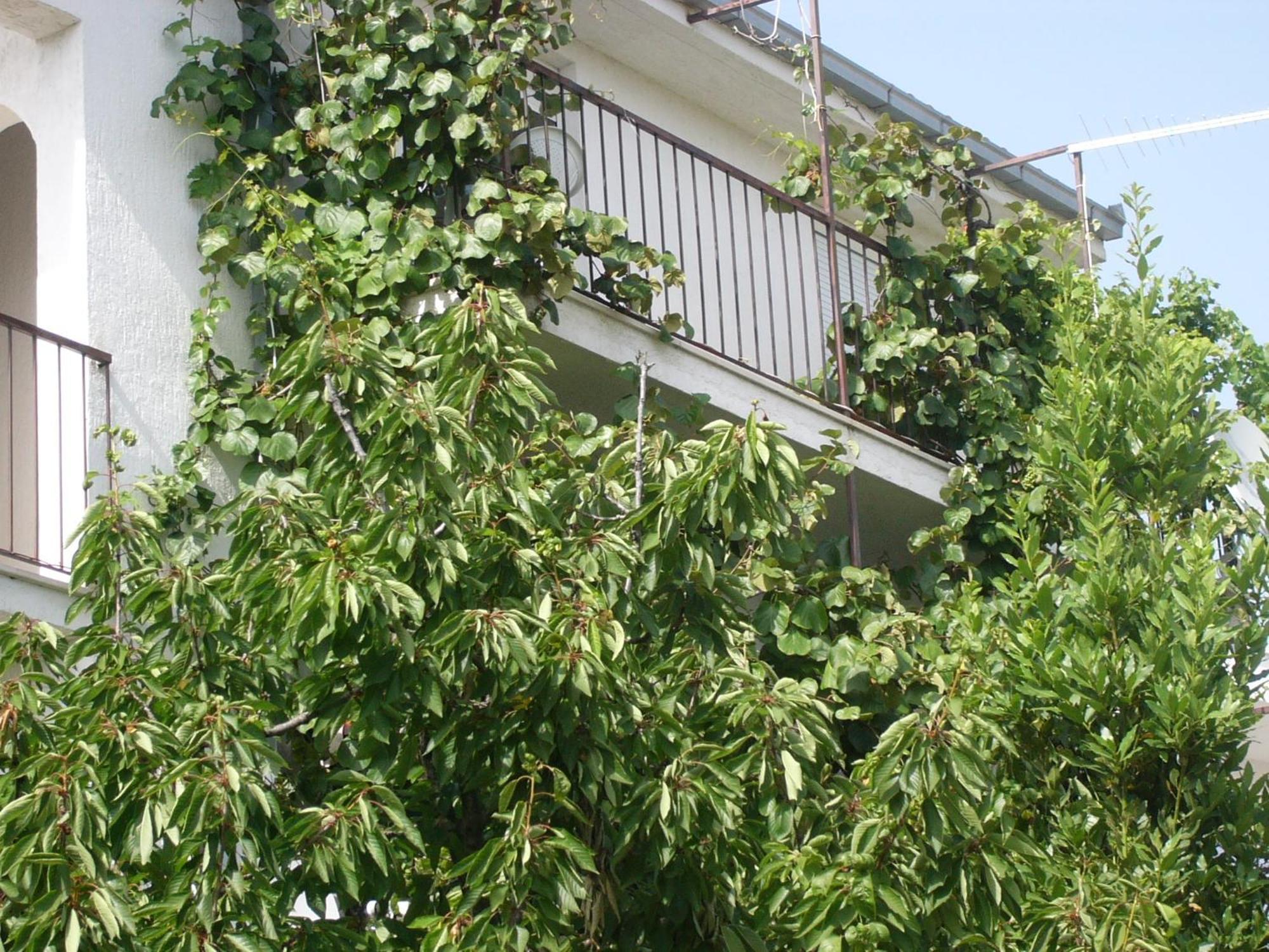 Apartments Prizmic Podstrana Zewnętrze zdjęcie